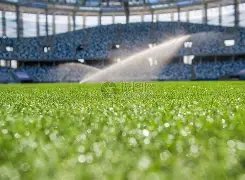 罗即将加盟,巴黎,曼联紧急筹,BG真人厅下载,BG真人厅娱乐,BG真人厅官网,BG真人厅app