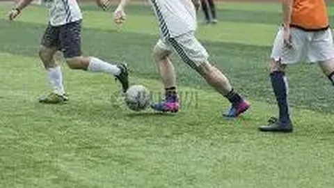 BG真人 资讯 095551 g6b