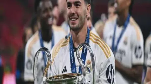 强化金融监管：提升保险集团集中度风险管理效能