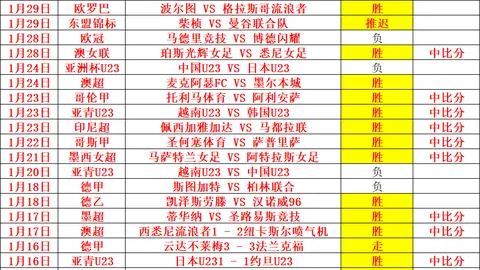 荷兰国家队首战进球非荷甲球员，马特森荣膺历史第三位传奇人物